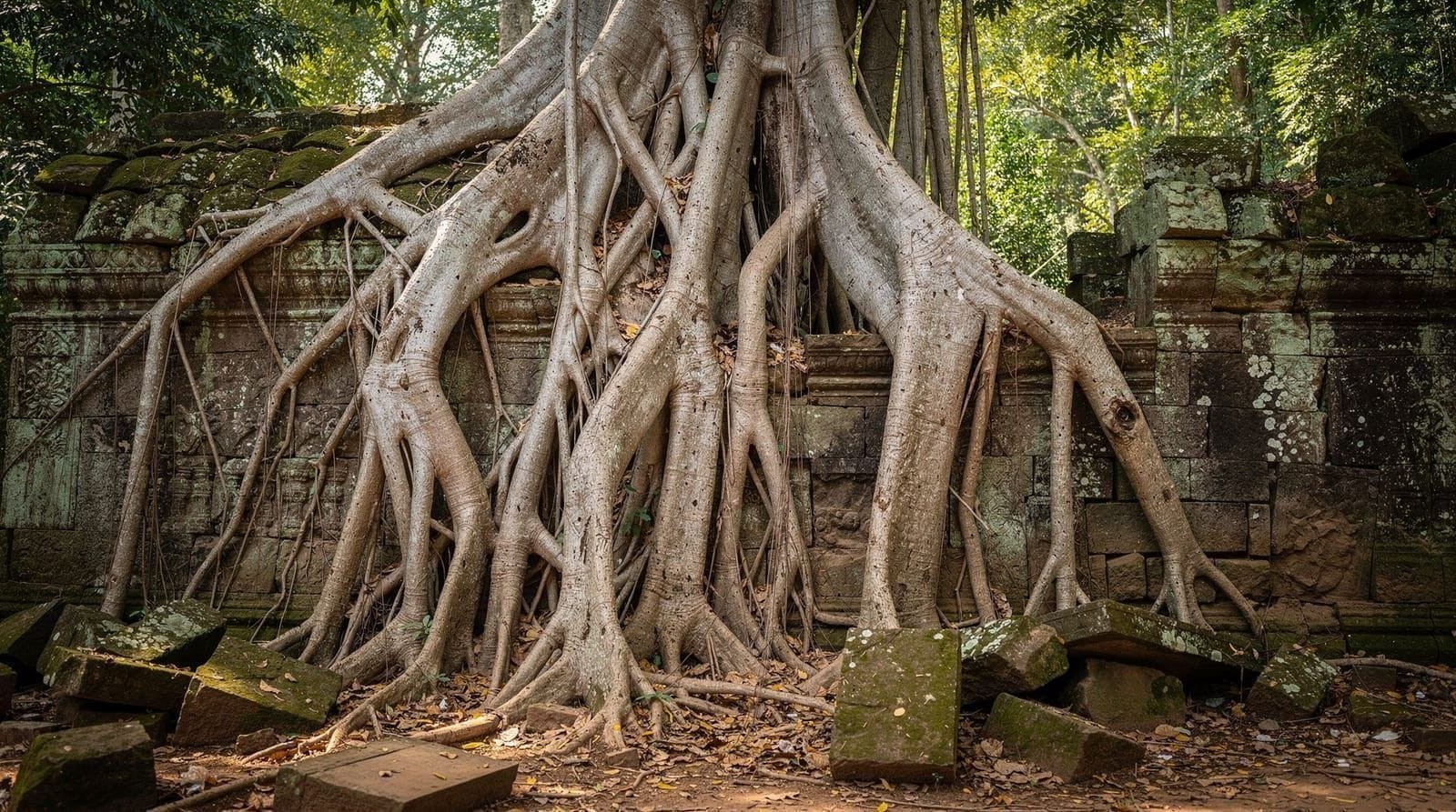 Ta Prohm