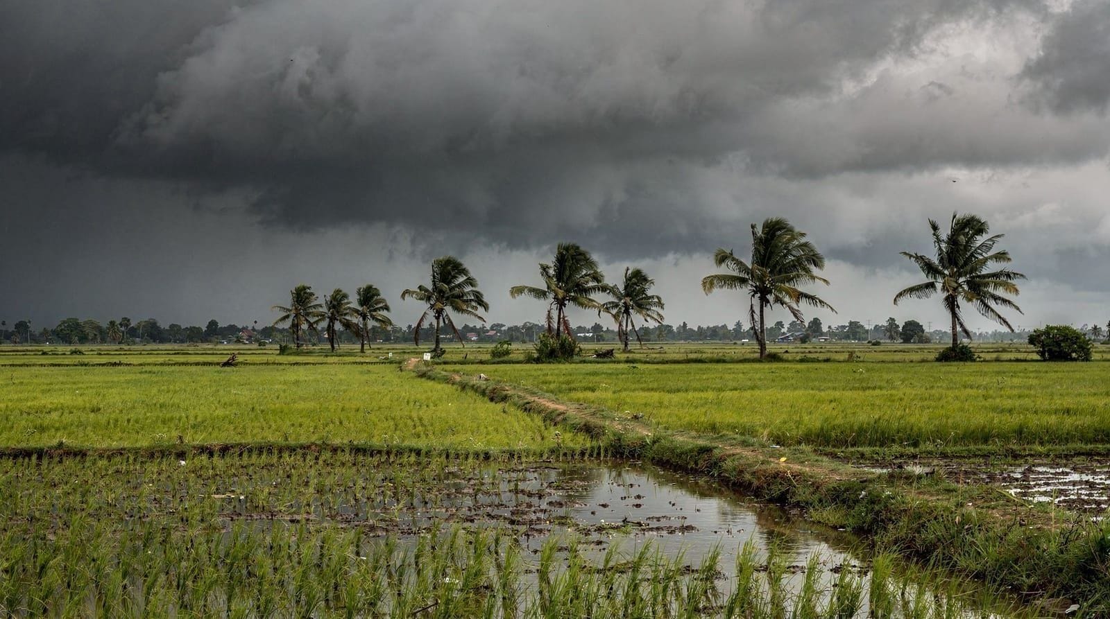 Siem Reap weather by month: a full-year reference — Month-by-month Siem Reap weather: temperature ranges, rainfall, humidity and Ton